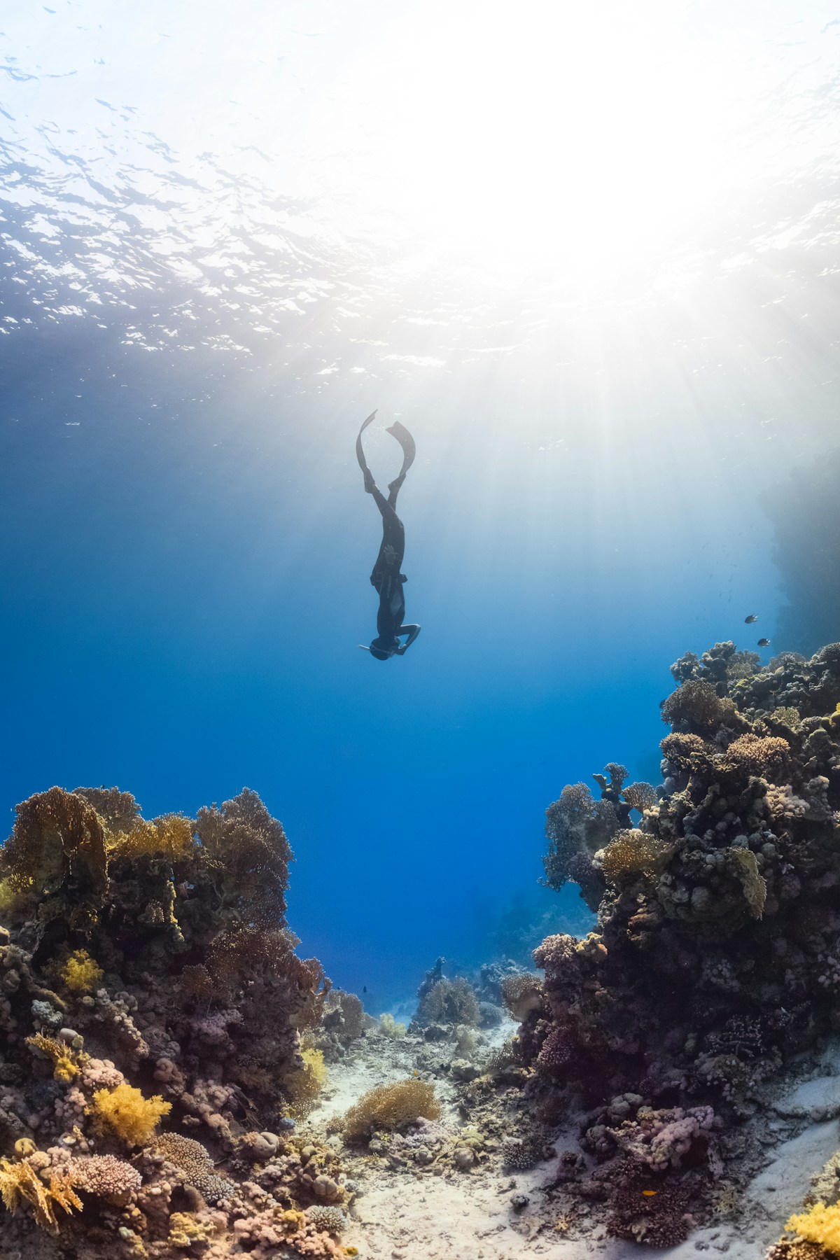 Nusa Lembongan Day Trip